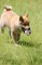news_000062_1