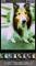 special-000117_a