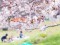 3月21日に東京で開花宣言された桜。今年は寒さの影響で、長く楽しめるという予報もある。集まるメンバーを変えて何度もお花見、というのもいいかもしれない 画像:KY / PIXTA(ピクスタ)